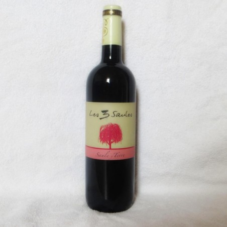 Saule y terre 2015 -...