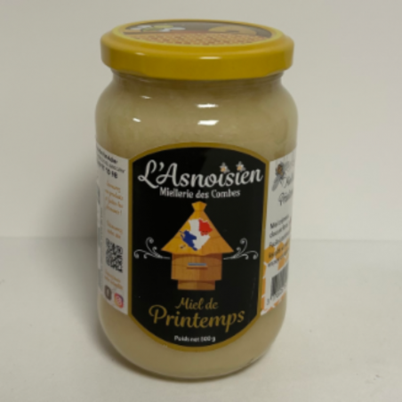 Miel de printemps 500g